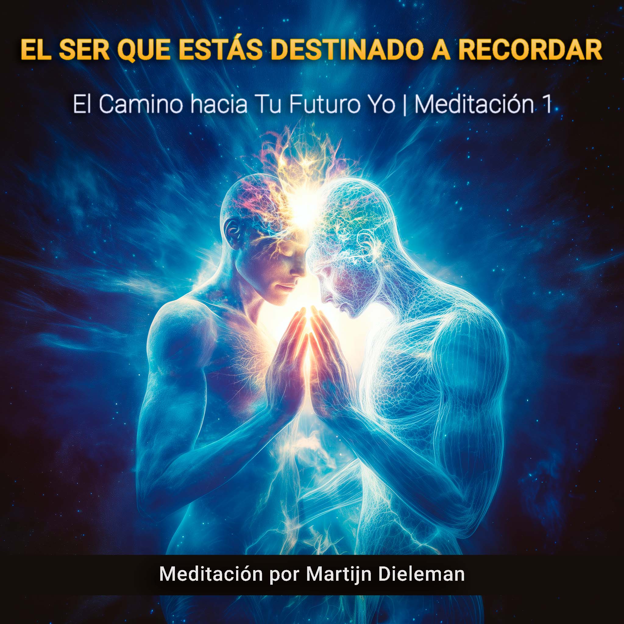 El Ser que Estás Destinado a Recordar